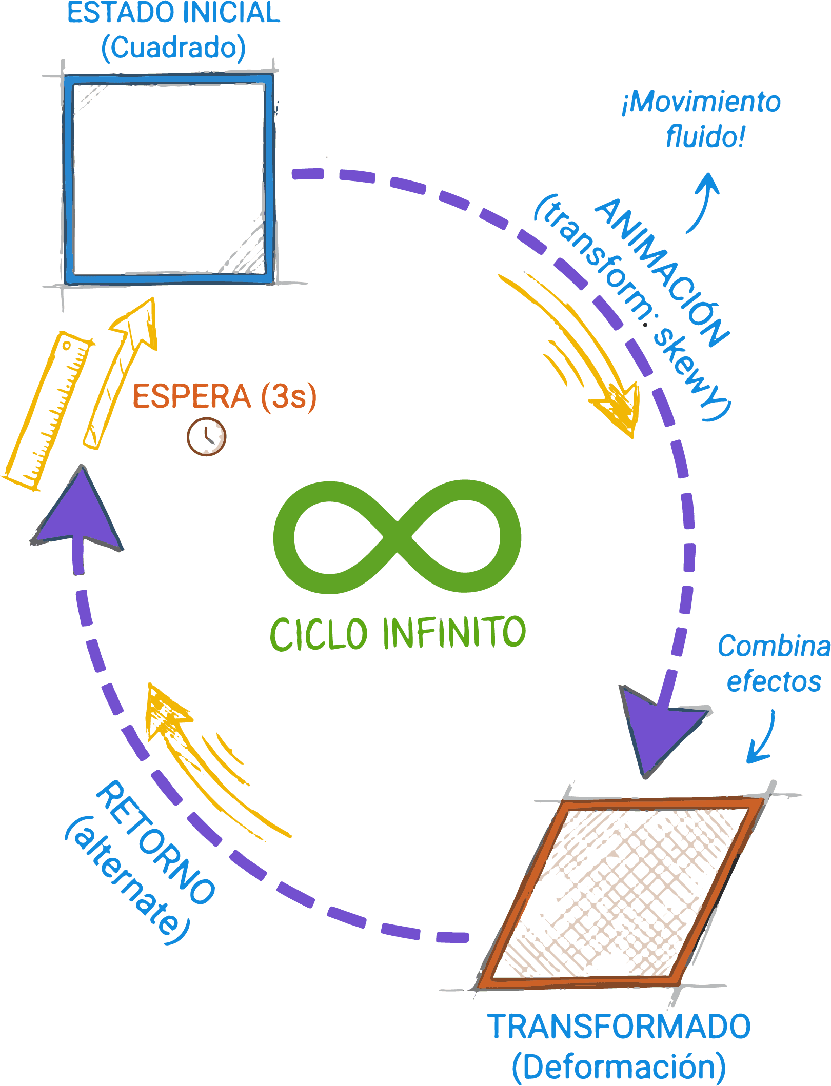 Animación aplicada a transform