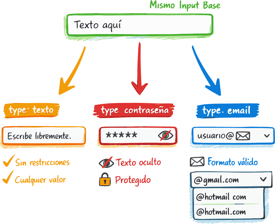 Inputs de texto, contraseña y email