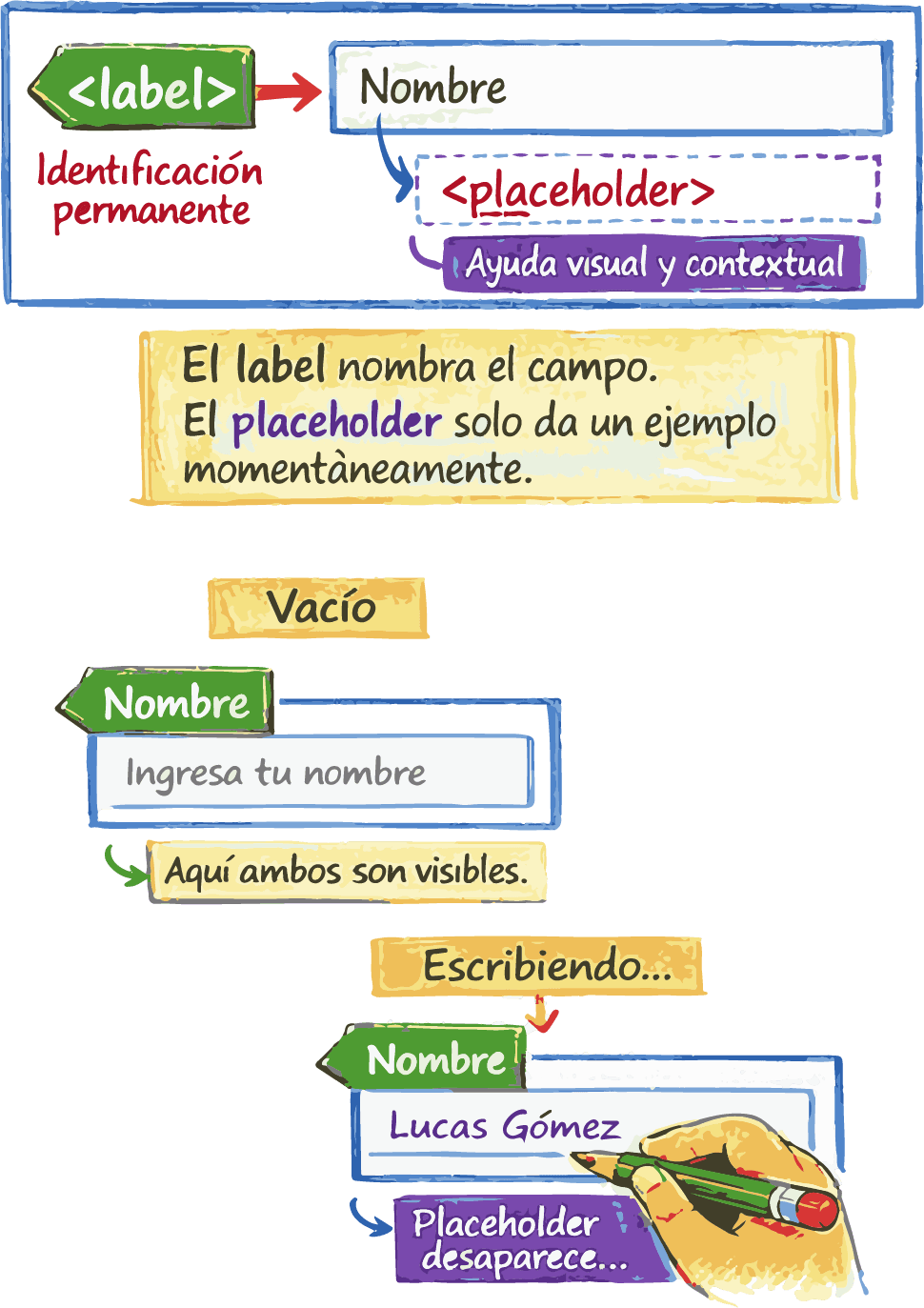 Comparación entre label y placeholder en formularios