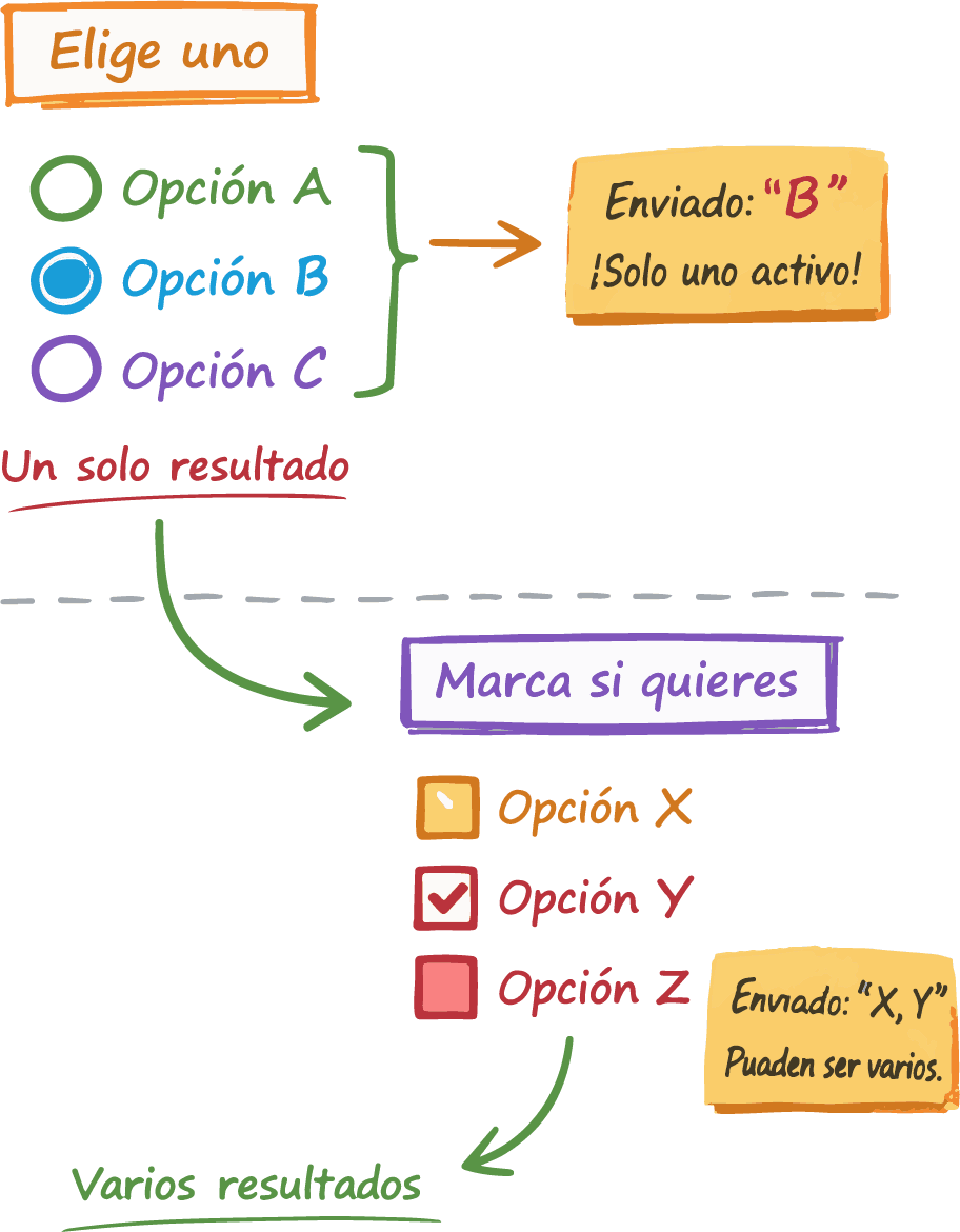 Ejemplo de radios y checkbox