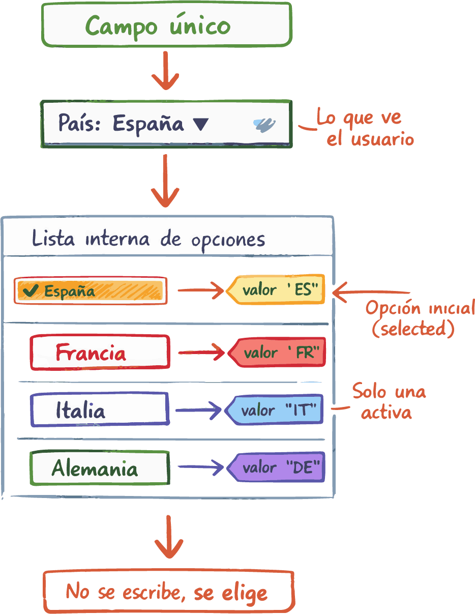 Menú desplegable HTML con select